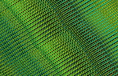 Geometrik desenli bir arkaplan tasarla 