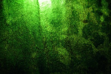 Yeşil doku, soyut arkaplan