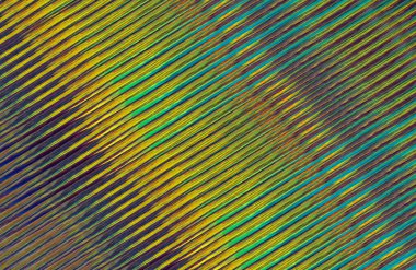 Çizgi ve çizgilerle soyut arkaplan