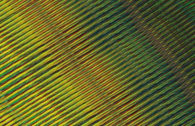 Arkaplan için renkli gradyan, geometrik desen