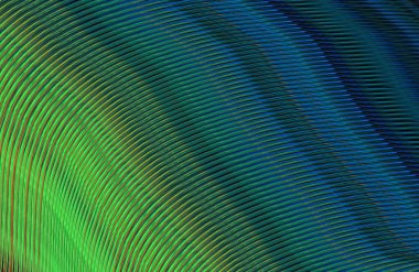 soyut çizgili doku, dijital duvar kağıdı