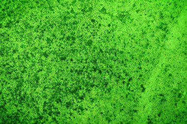 Yeşil doku, soyut arkaplan