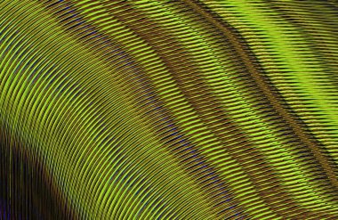 soyut çizgili doku, dijital duvar kağıdı