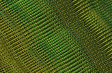 soyut renkli doku arkaplanı, uzay duvar kağıdını kopyala 