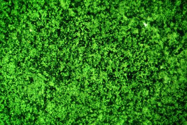 Yeşil doku, soyut arkaplan