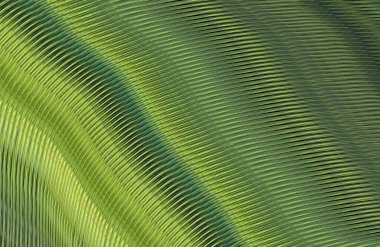 soyut çizgili doku, dijital duvar kağıdı