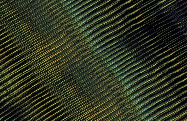 Arkaplan için renkli gradyan, geometrik desen