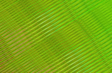 Arkaplan için renkli gradyan, geometrik desen