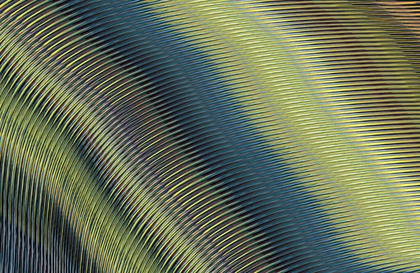 Abstract Striped Texture Digital Wallpaper — Stock Photo, Image