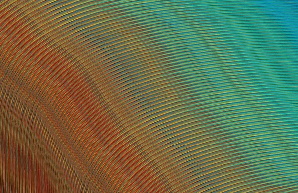 Textura Rayada Abstracta Fondo Pantalla Digital — Foto de Stock