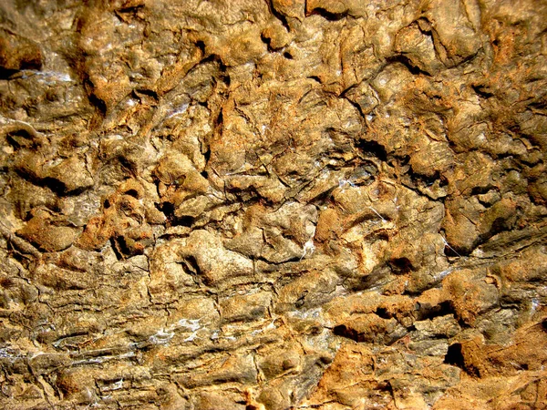 Textura Formação Rocha Superfície Pedra — Fotografia de Stock