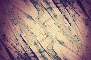 Arkaplan için güzel renklere sahip soyut boyama