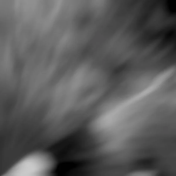 Abstraktní Rozmazané Rozostřené Pozadí Digitální Tapeta — Stock fotografie