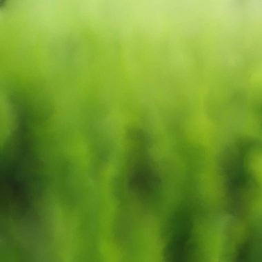 Soyut suluboya duvar kağıdı, dokuları boyar