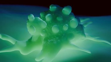 Mesane Kanseri Hücresi - Kötülüğün 3 Boyutlu Tıbbi Görselleştirmesi