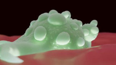 Mesane Kanseri Hücresi - Kötülüğün 3 Boyutlu Tıbbi Görselleştirmesi