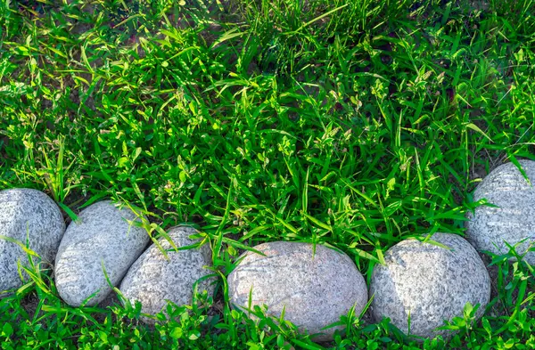 Grijze Stenen Het Groene Gras Verlicht Door Zonlicht — Stockfoto