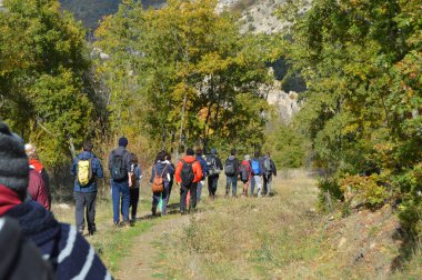 Dağ gezileri, sırtlarında sırt çantalarıyla ormanda yürüyüş yapan gençler.,
