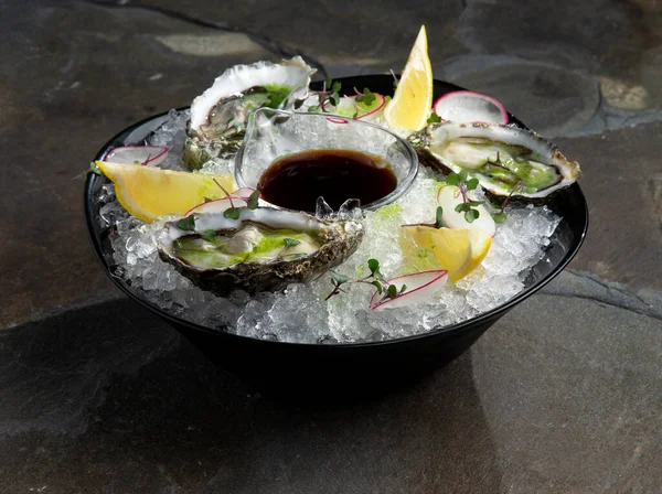 Buzlu taze istiridye. Tabakta.