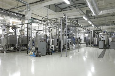 bitki üretim şeker ve çikolata için