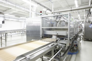 bitki üretim şeker ve çikolata için