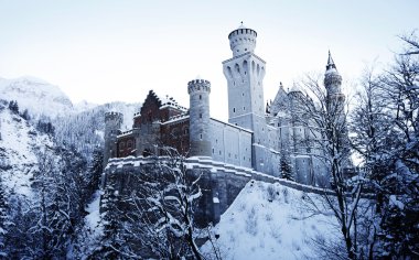 Neuschwanstein Şatosu