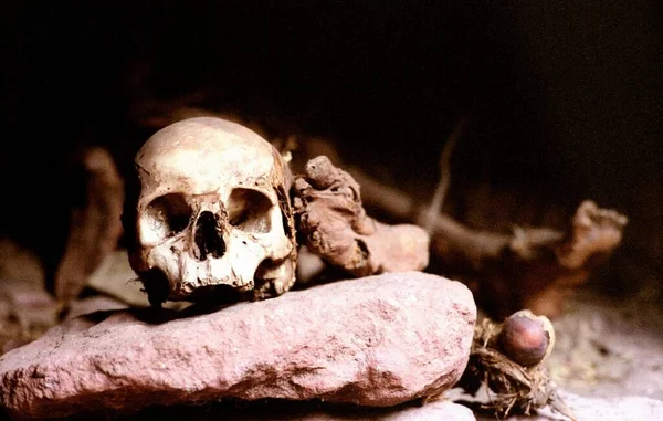Skull and Bones on rocks