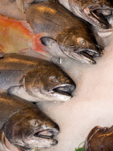 A kind of fish in the fish market