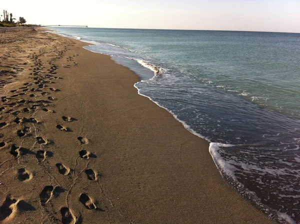 Foot prints along the sea shore