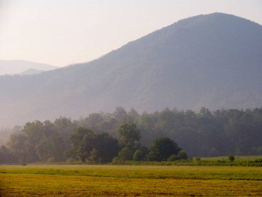 Fog in the mountain region