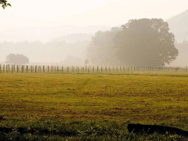 Fog in the mountain region