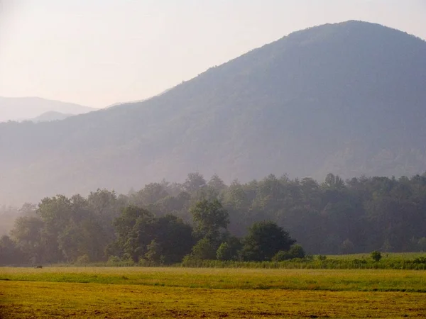 Fog in the mountain region