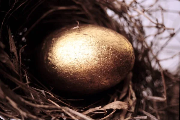 Easter egg with gold paint in nest