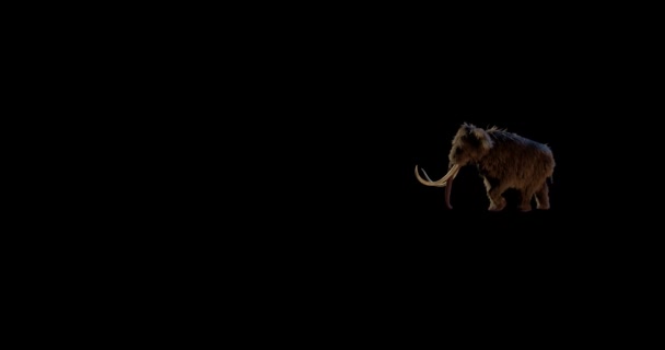 Mammoth Animal Walking Black Background — Αρχείο Βίντεο