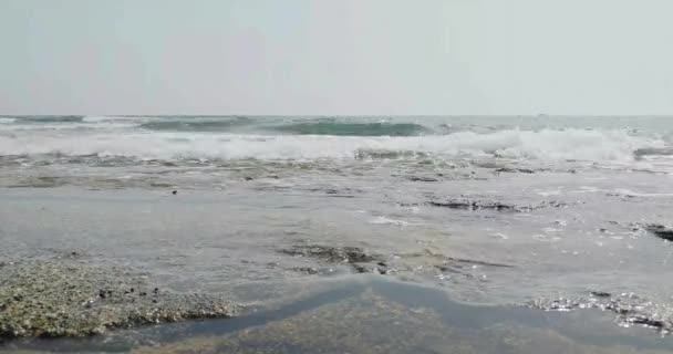 Deniz Kıyısında Akan Basit Dalgalar — Stok video