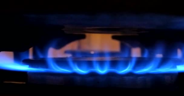 Gas Flame Burner Cooking Dishes — Stock Video