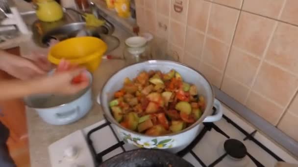 Çeşitli Sebze Salatası Hazırlama — Stok video