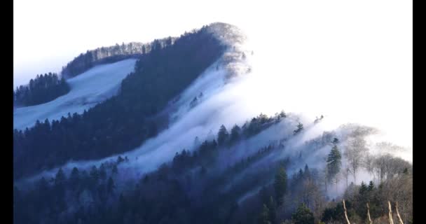 Vista Aérea Nieve Que Cae Las Montañas — Vídeos de Stock