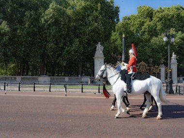 Buckingham Sarayı 'nda at ve at muhafızları