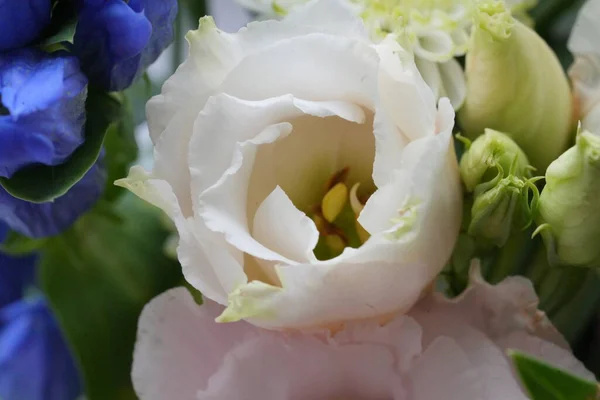 Bir buket güzel çiçek, yaklaşın.