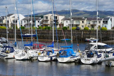 Limanda tekneler, iskele köpeği.