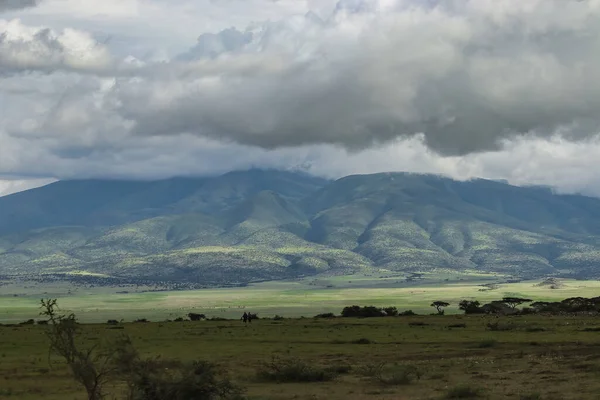 Vue Panoramique Sur Les Arbres Verts Près Colline Contre Ciel — Photo