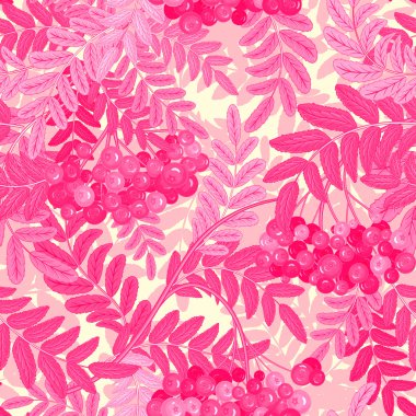 Yaprakları ve kül-berry rowanberry ile Seamless modeli. Vektör çizim