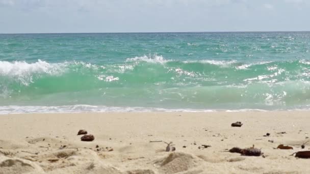 폭풍우 치는 바다에 떠 있는 해변에서 사랑에 몇 — 비디오