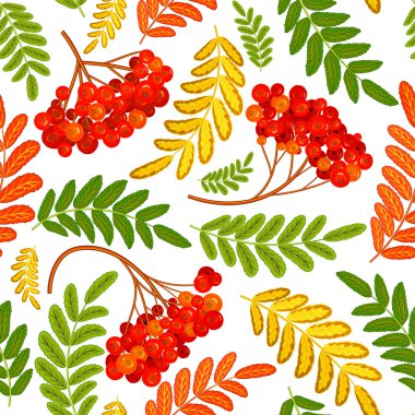 Rowan berry sorunsuz doku. sonbahar vektör çizim