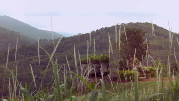 タイ精神家、サン ・ プラ ・ プム リーン Tevoda、Pteah ・ プームでプーケット島の緑豊かな山々。岩と草。4 k — ストック動画