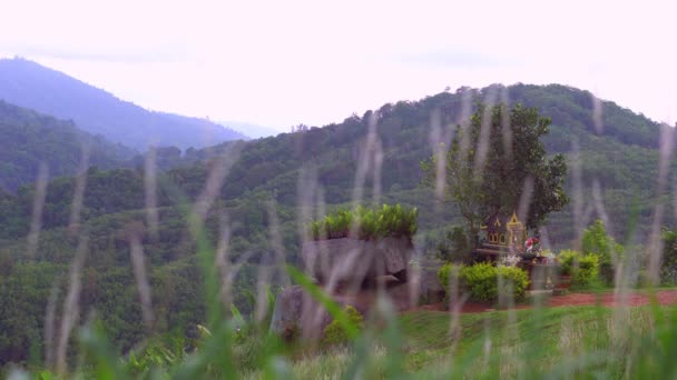 Thailand Spirit House, San Phra Phum, Rean Tevoda, Pteah Phum, dans les montagnes vertes de l'île de Phuket. Rock and Grass. 4K — Video