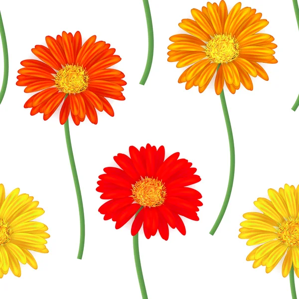 Nahtloses Muster mit bunten Gerbera-Blüten. Vektorillustration. — Stockvektor