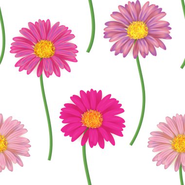 renkli gerbera çiçekleri ile Seamless modeli. vektör çizim.