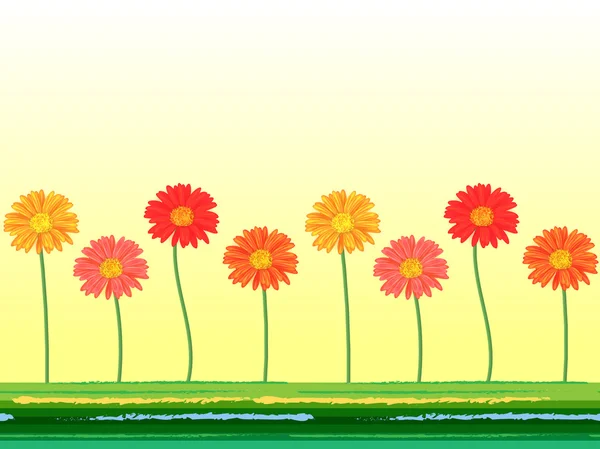 Horizontale nahtlose Hintergrund mit bunten Gerbera-Blumen. Vektorillustration. — Stockvektor